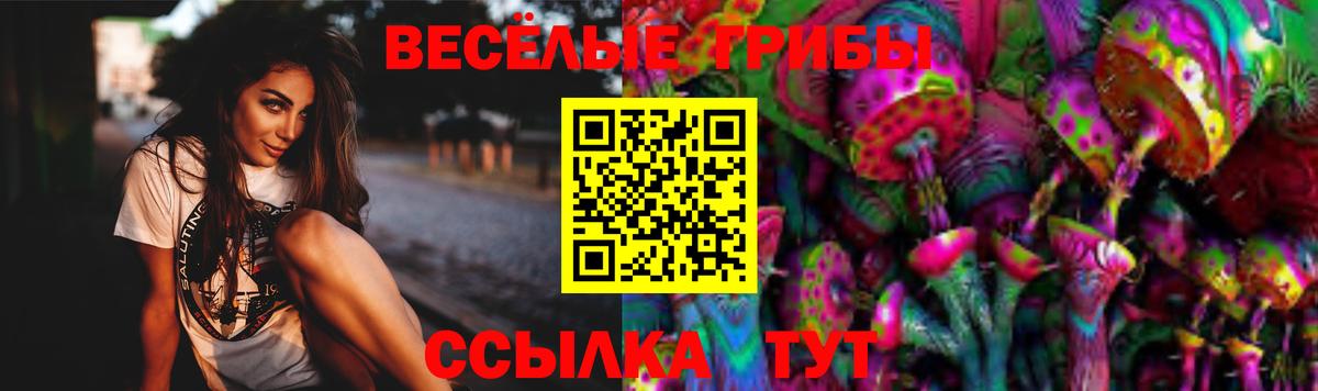 Галлюциногенные грибы Magic Shrooms  купить наркоту  Галлюциногенные грибы MAGIC MUSHROOMS  Миллерово  Вход с VPN 