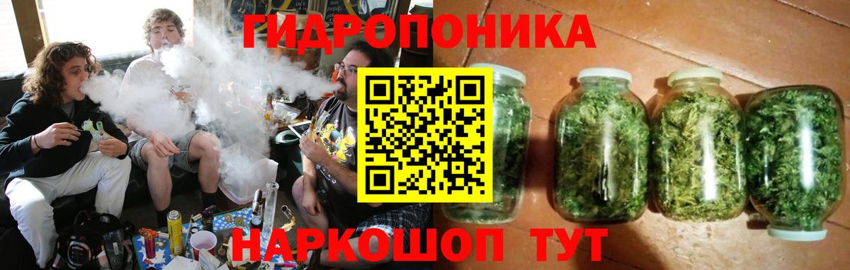 Канабис конопля Миллерово